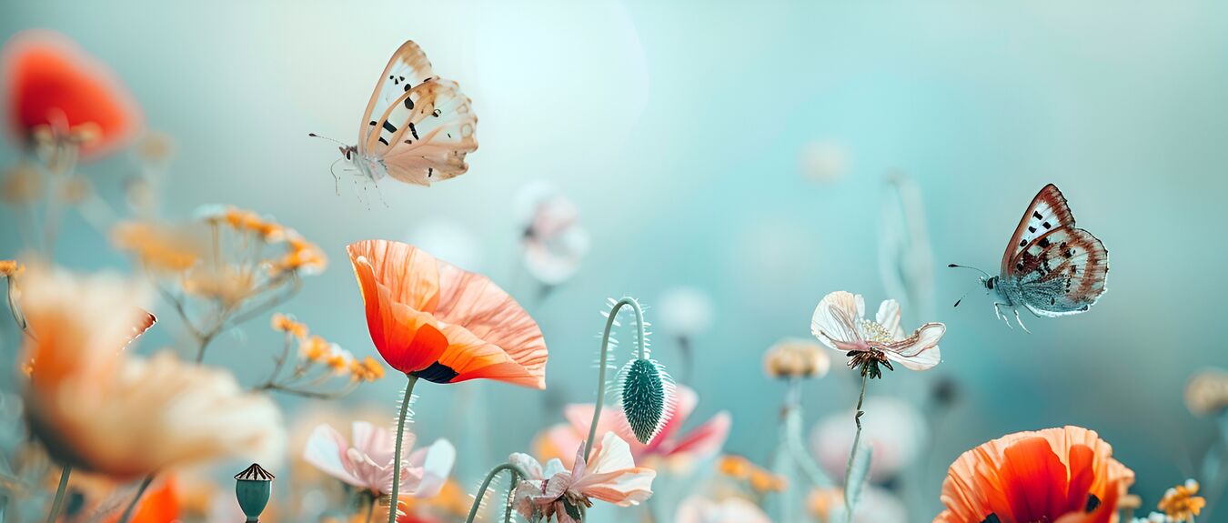 AdobeStock_891097704