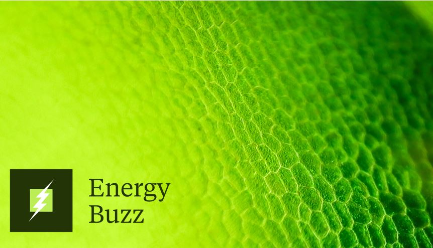 Energy Buzz